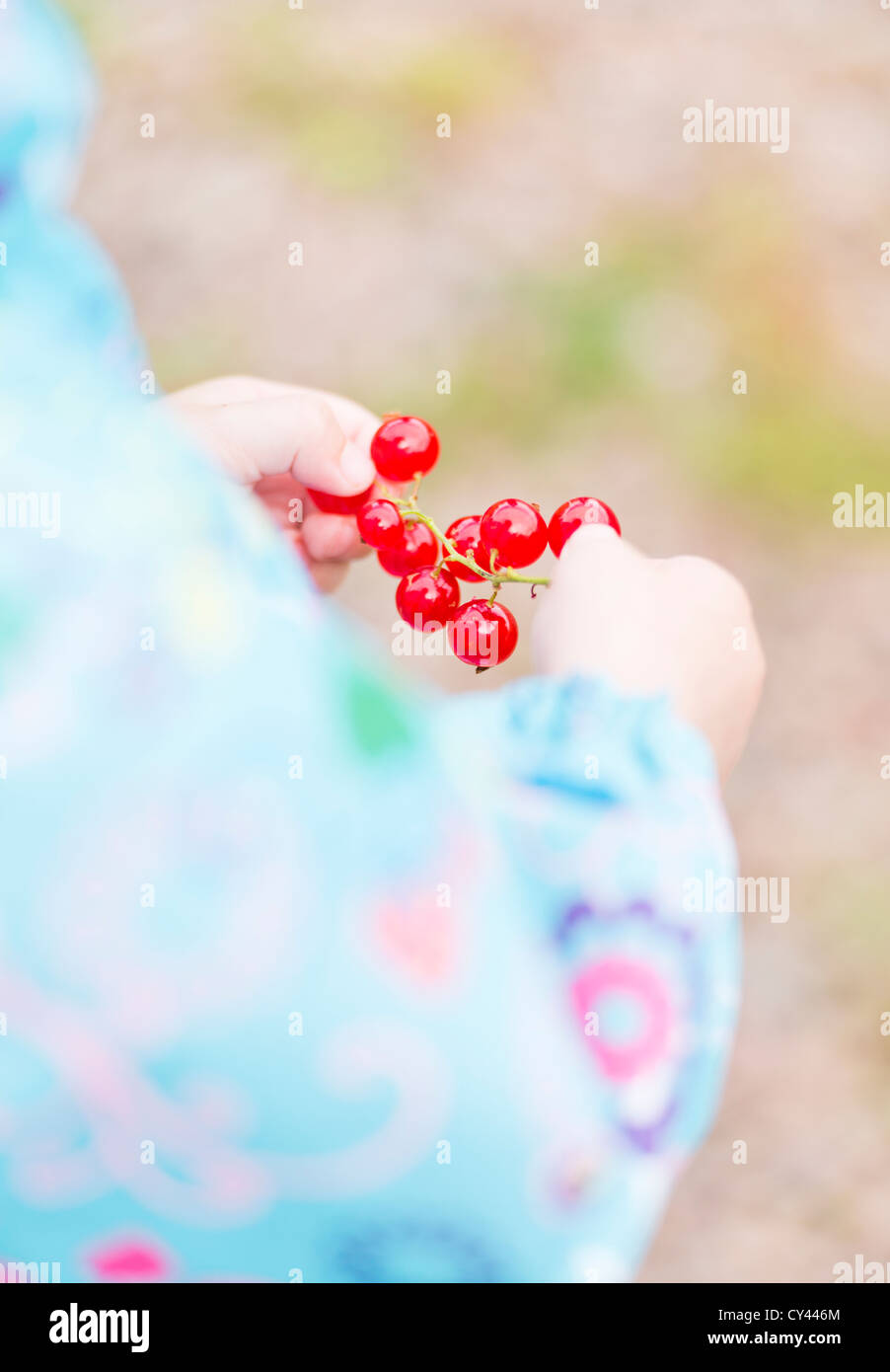 Child watching red currant branch Stock Photo