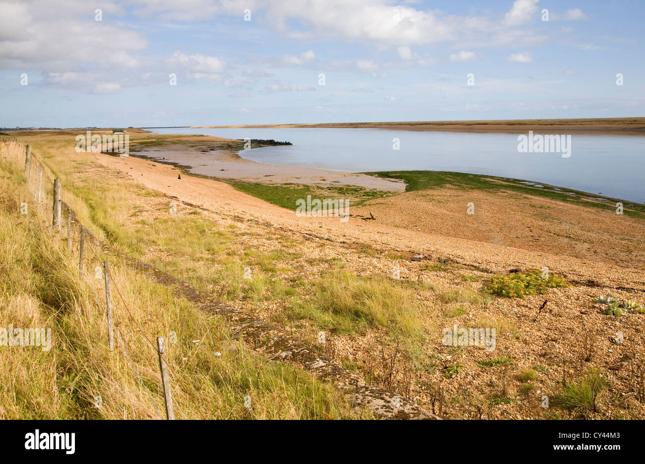 Saltings salt marsh environment River Ore, Hollesley, Suffolk, England, UK Stock Photo