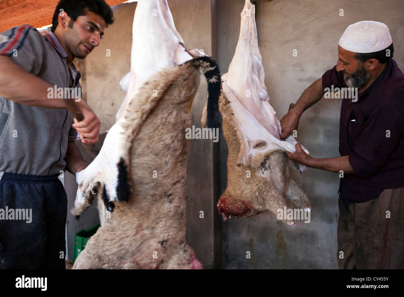 Halal Slaughter Stock Photos & Halal Slaughter Stock Images Alamy