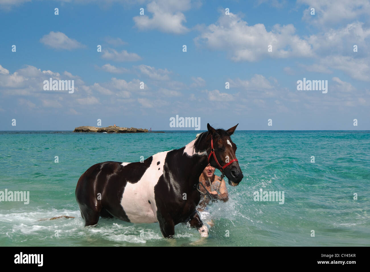 Man Washes his horse in the Mediterranean Sea Stock Photo