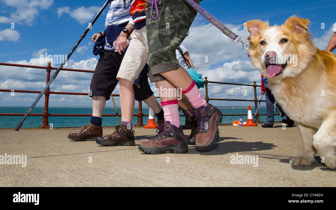 close up of dog showing just owners walkers legs Isle of Wight Walking