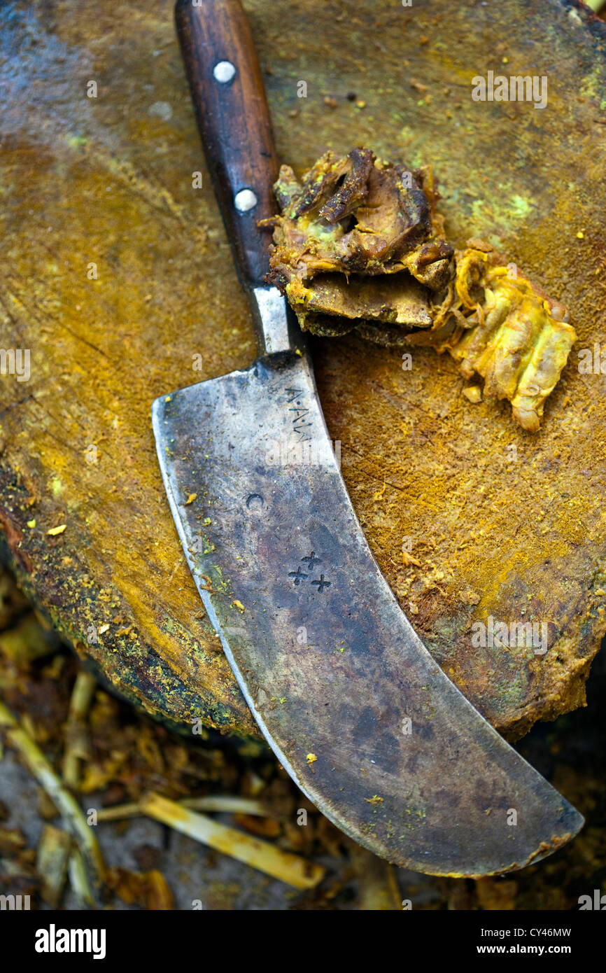 Detail of a cleaver on a chopping block in the kitchens at a Wazwan feast. Srinagar, Kashmir, India Stock Photo