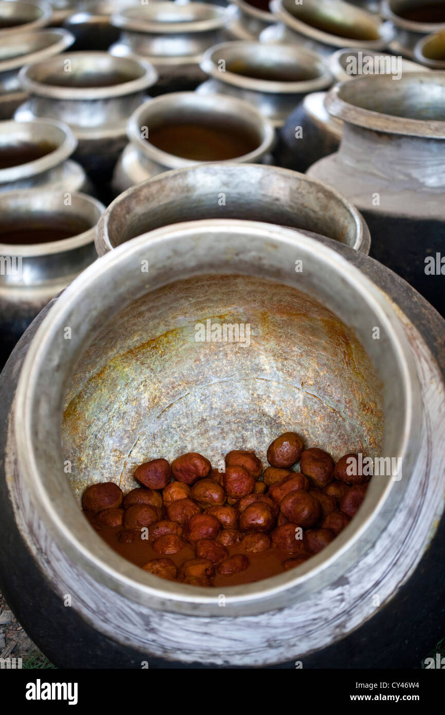 Details of prepared Rista (pounded lamb balls in a saffron flavoured gravy) in pots at a Wazwan, a Kashmiri feast Stock Photo