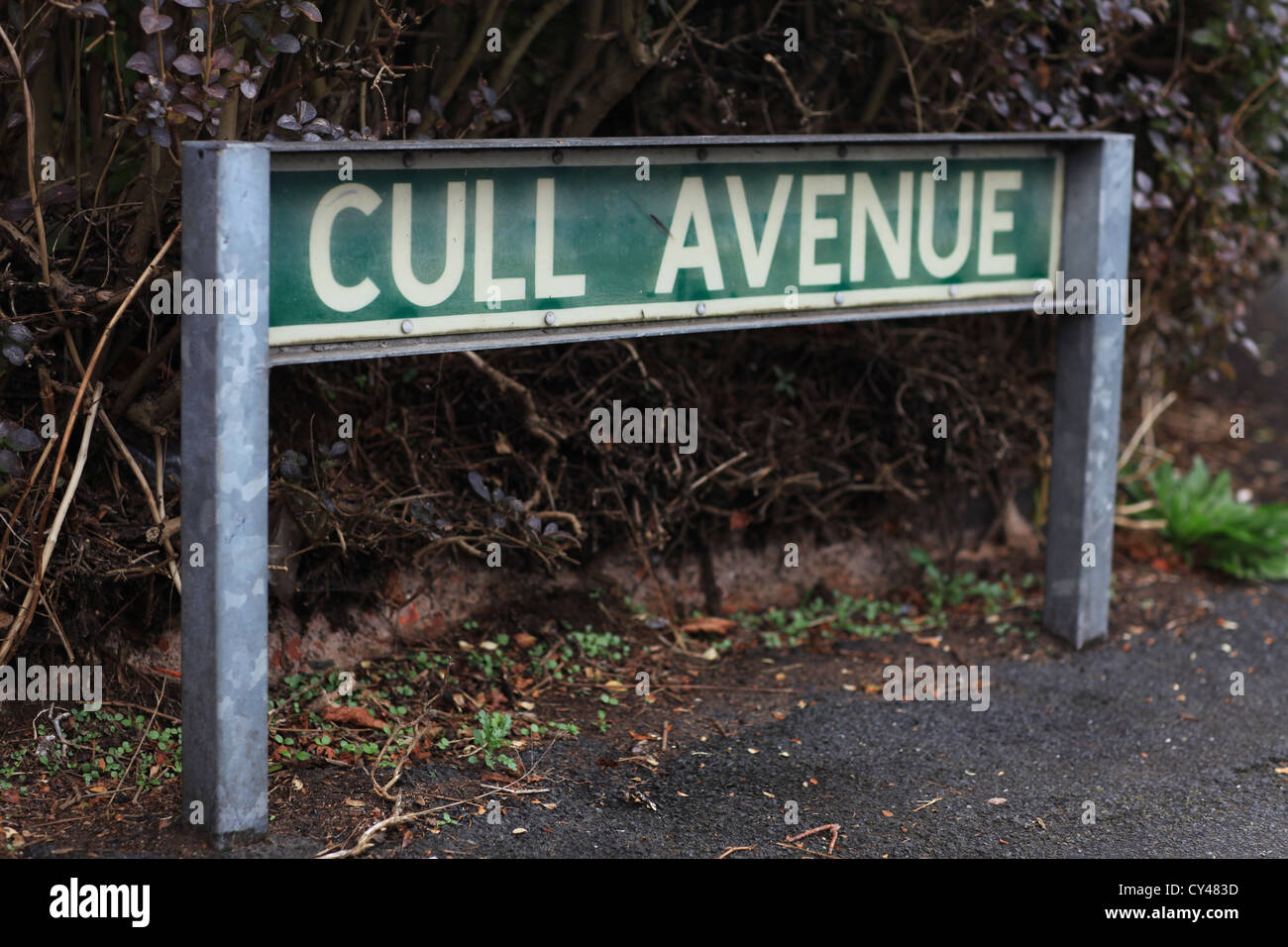 Street sign Cull Avenue Stock Photo