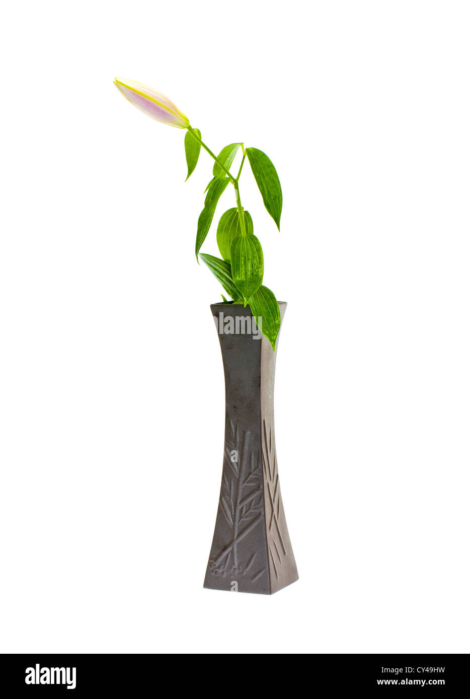 Flower in a vase isolated on white background Stock Photo - Alamy