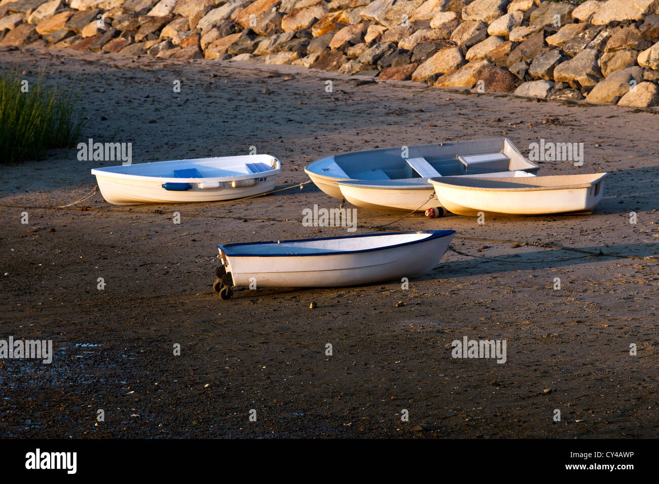 Several row boats are beached at low tide in Pamet Harbor, MA Stock Photo