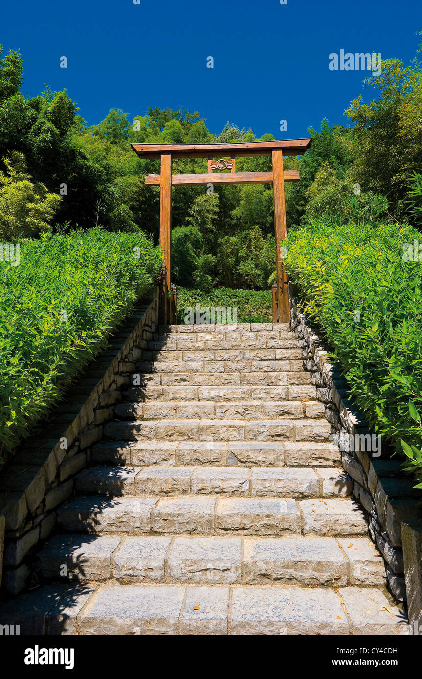 Europe Italy Lombardy,Province of Como  Tremezzo Villa Carlotta The garden of bamboo Stock Photo