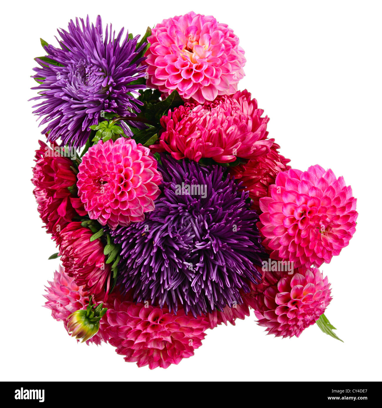 Bouquet of autumn flowers. Dahlias and asters isolated on white Stock Photo