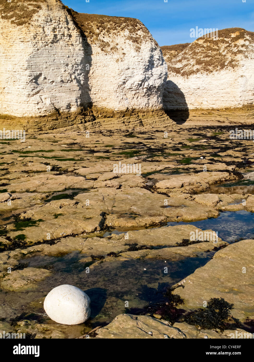 The beach and chalk cliffs at Flamborough Head on the North Yorkshire coast England UK a Special Area of Conservation Stock Photo