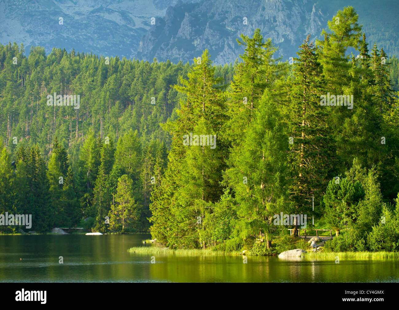 Strbske Pleso, beautiful lake in High Tatras mountains, Slovakia Stock Photo