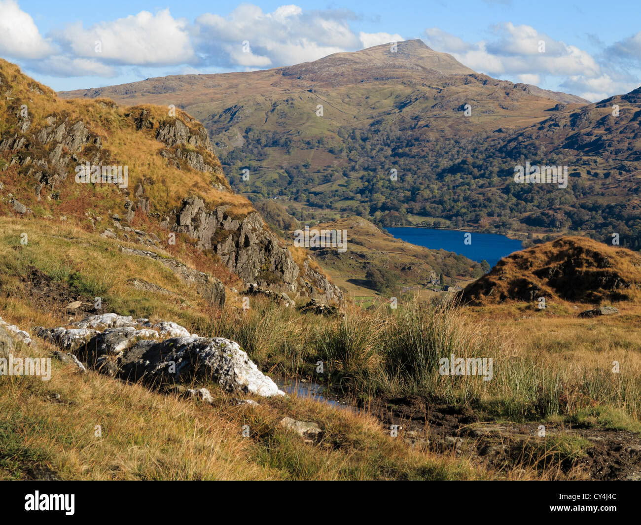 View to Moel Siabod mountain across Llyn Gwynant lake in Nantgwynant