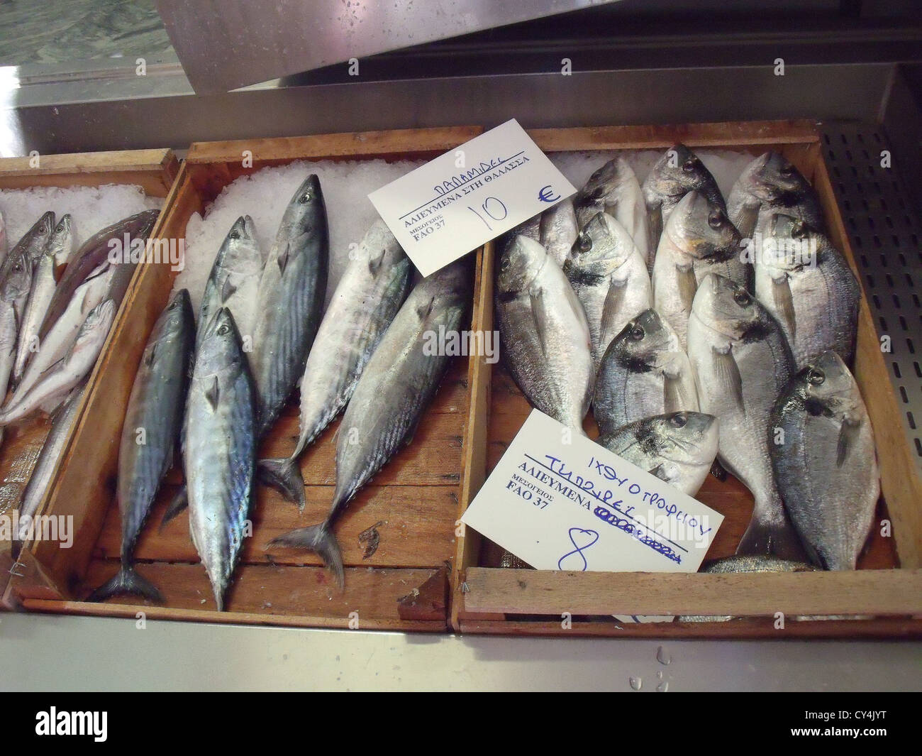 fish, markets, food, fresh Stock Photo Alamy