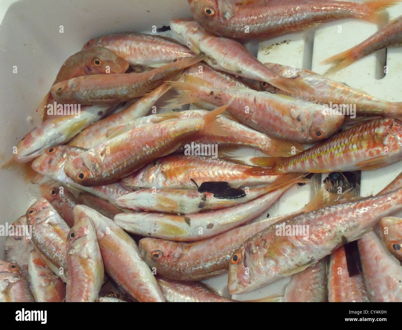 fish, markets, food, fresh Stock Photo