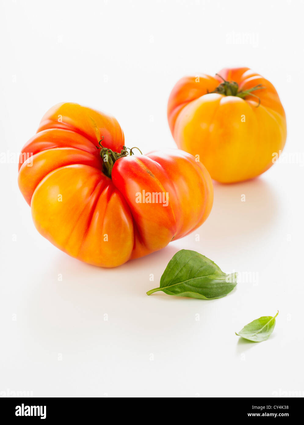 Heirloom tomatoes, studio shot Stock Photo