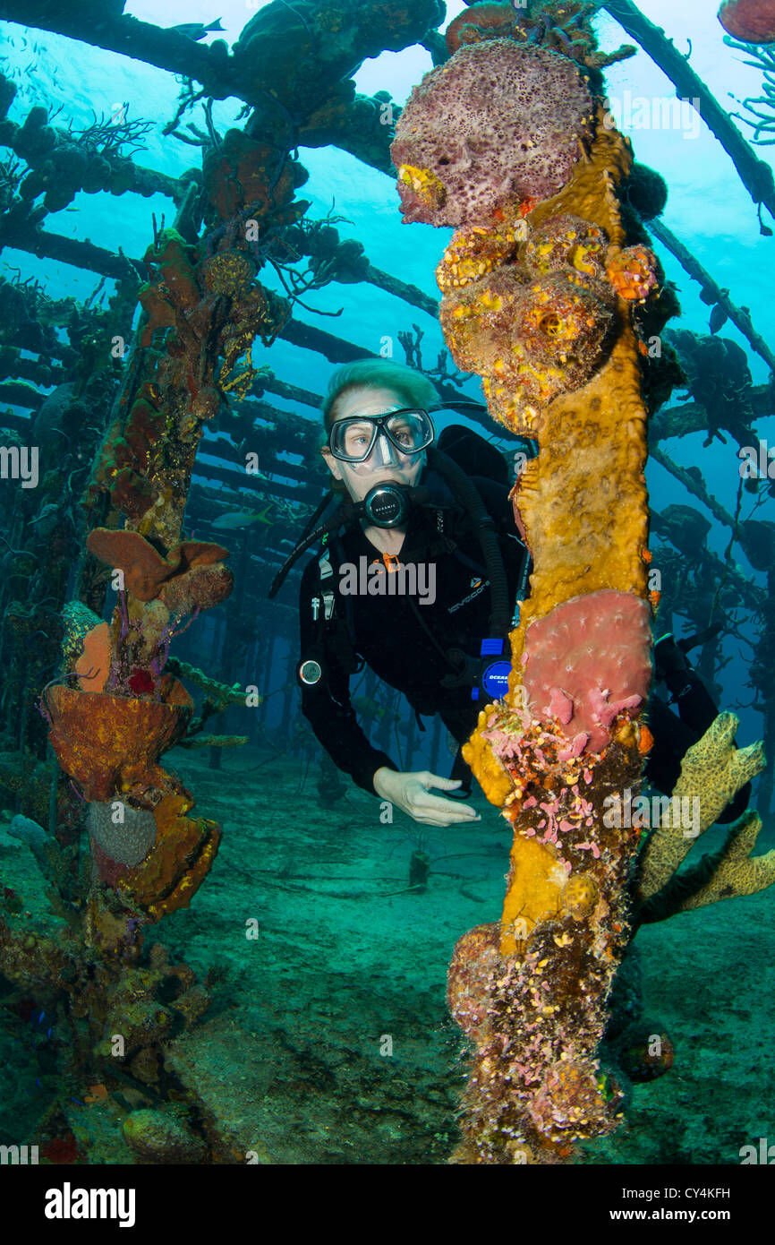Scuba diver on the shipwreck, Willaurie Stock Photo