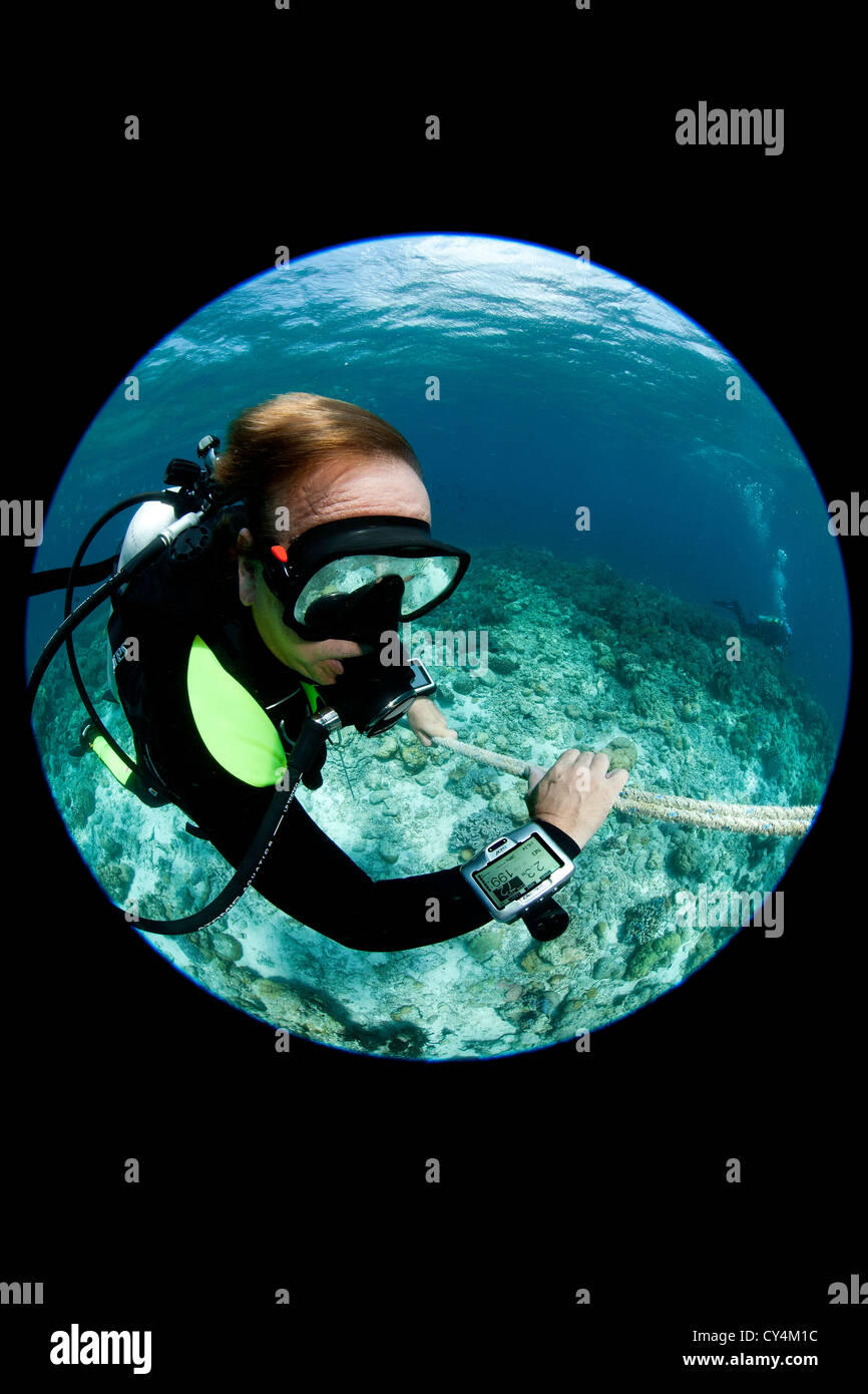 Fisheye view of diver ascending safety line, probably making safety