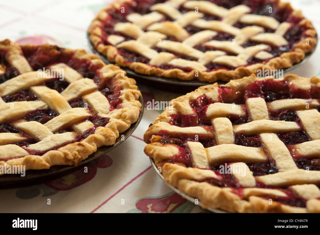 Homemade Concord grape pies cool on the table. Stock Photo