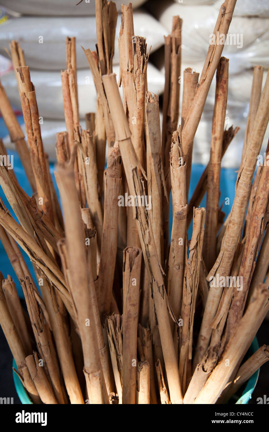 Soft Bark Canella, Cinnamon, Sticks at Jamaica Market in Colonia