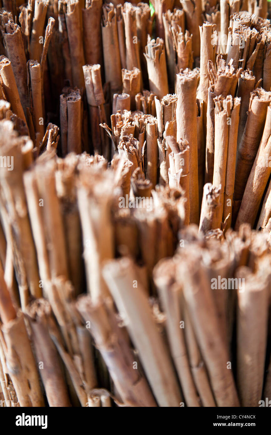 Canella hires stock photography and images Alamy