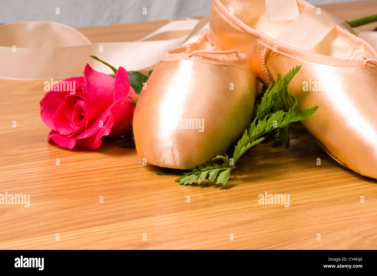 pink ballet shoes