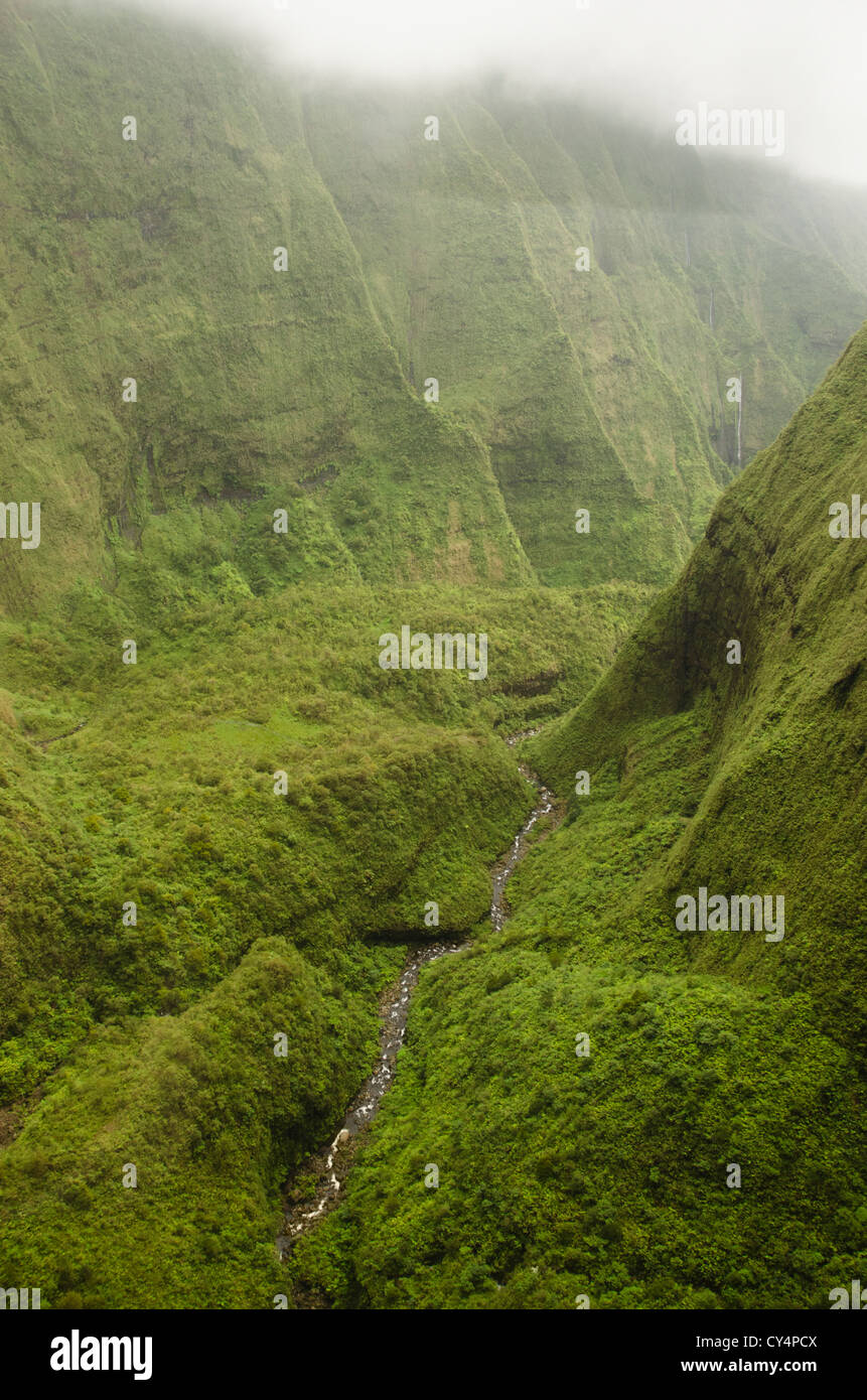 Hawaii mountain fog hi-res stock photography and images - Alamy