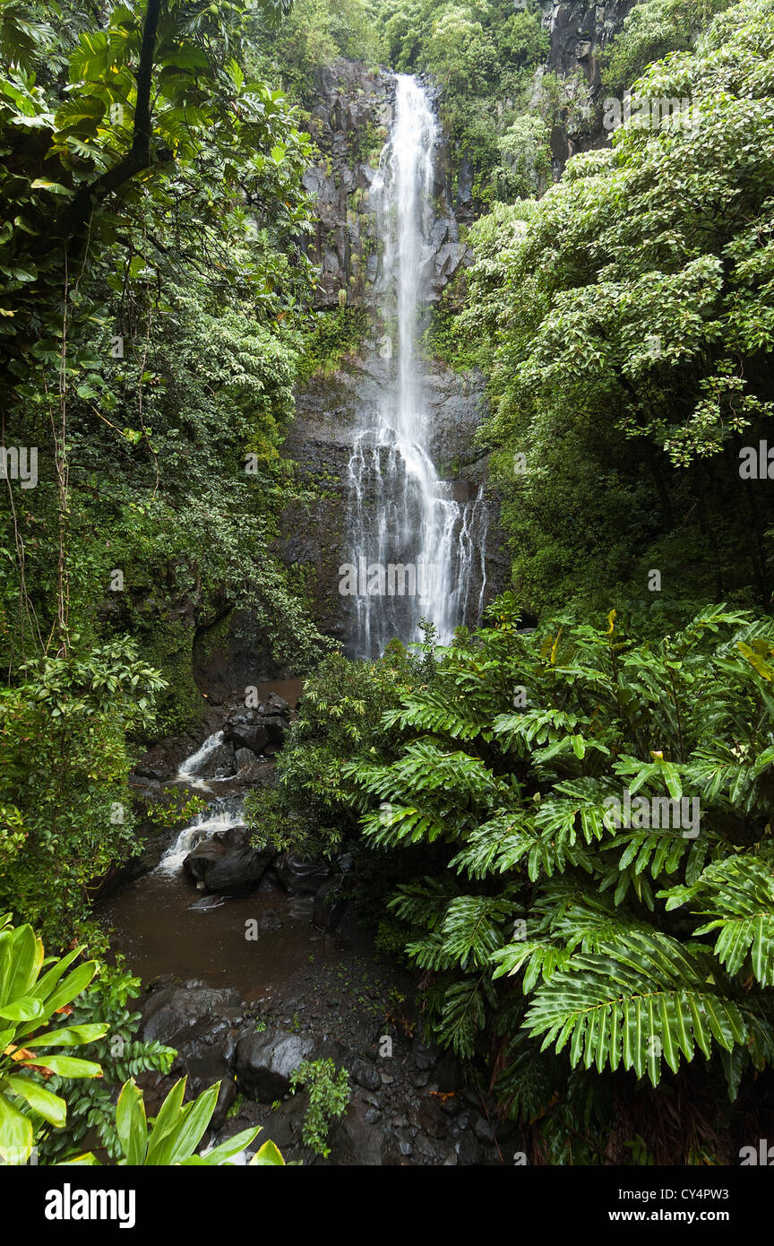 Elk284-4615v Hawaii, Maui, Wailua Falls Stock Photo
