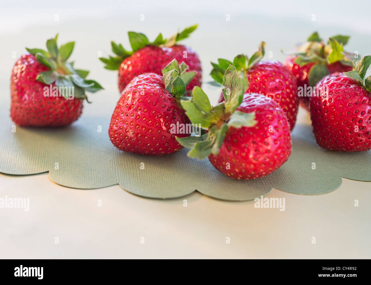 Studio summer hi-res stock photography and images - Alamy