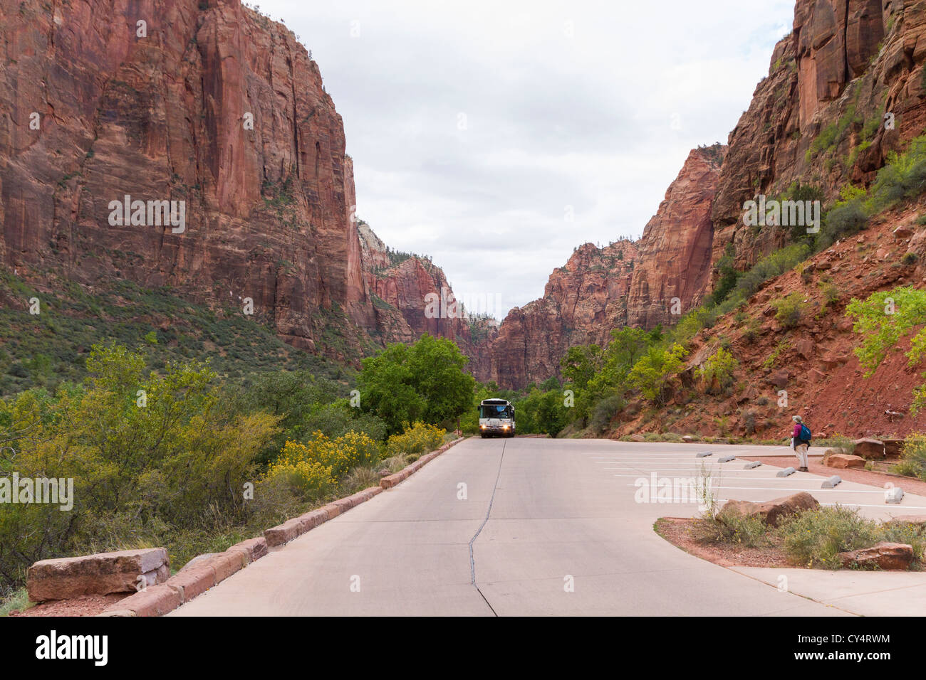 Shuttle on the Canyon Scenic Dr. at Zion National Park, Utah Stock Photo