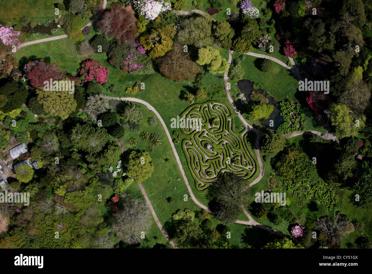 Aerial view of maze at Glendurgan Stock Photo