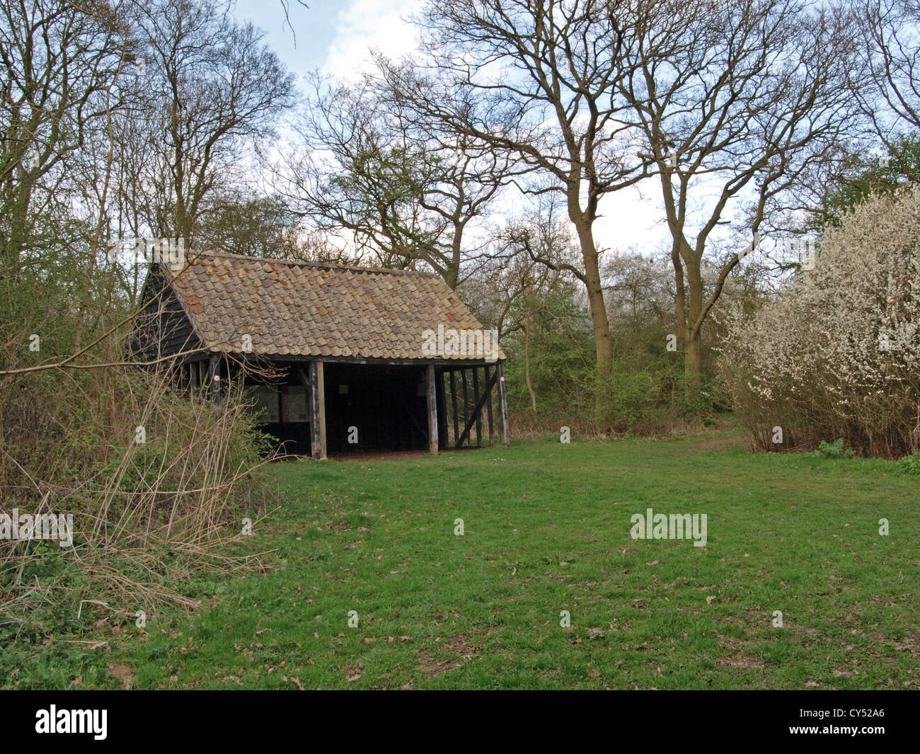 Information center in Brampton wood. Stock Photo