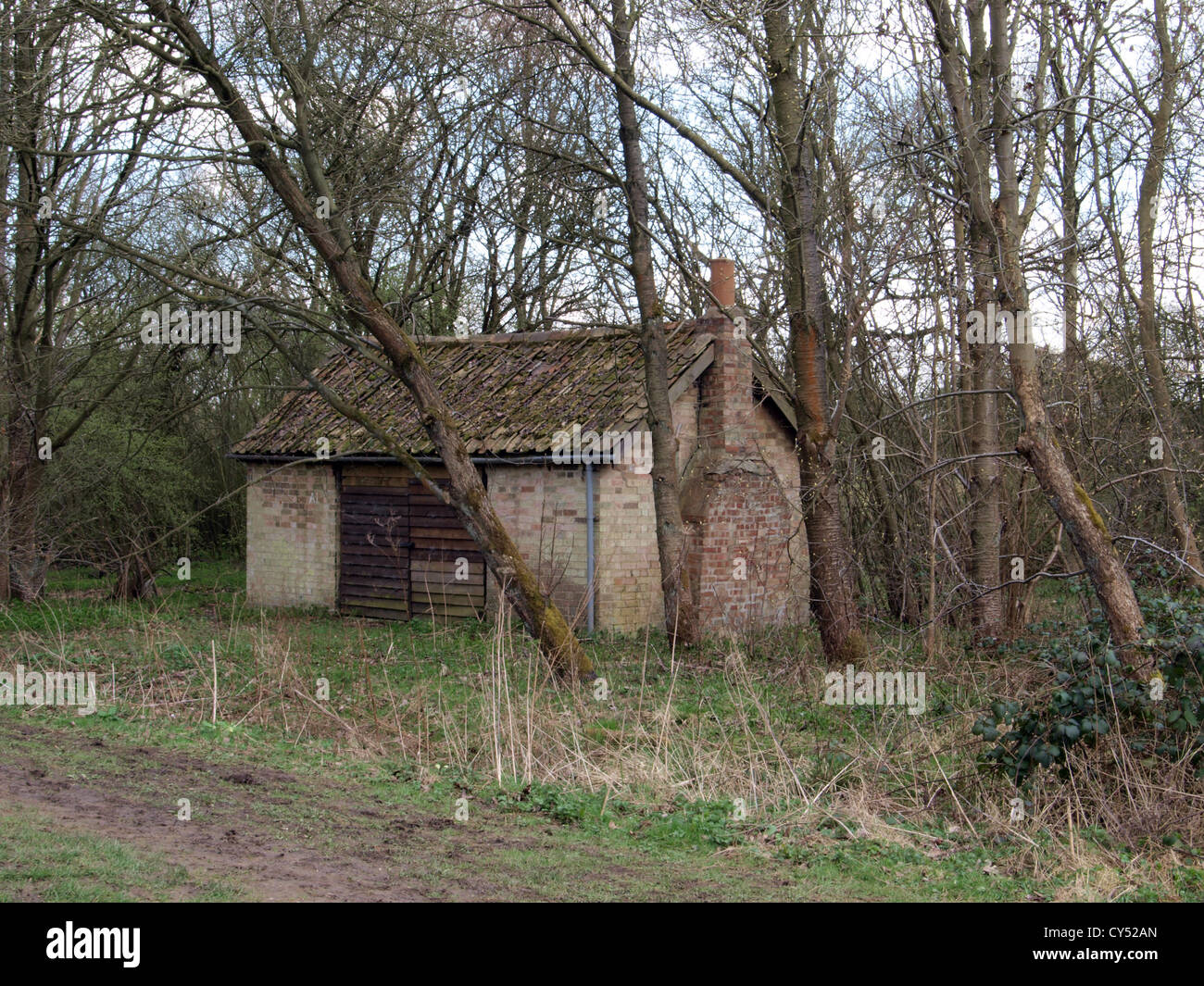 old house now used as a woodland hut in Brampton Wood Brampton