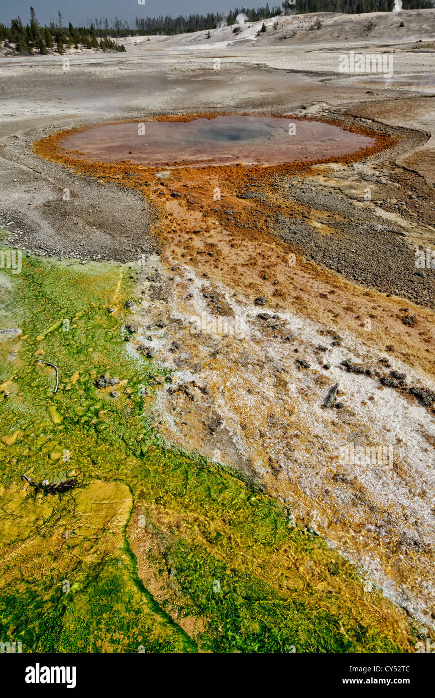 Whirlygig geyser in Yellowstone's Norris geyser basin Stock Photo