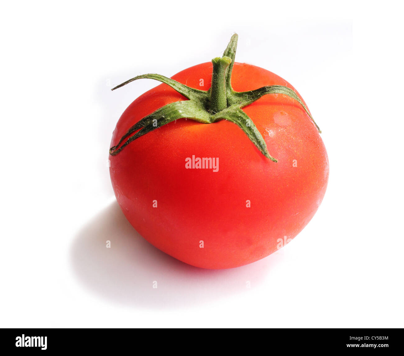 A fresh tomato on a white background Stock Photo - Alamy