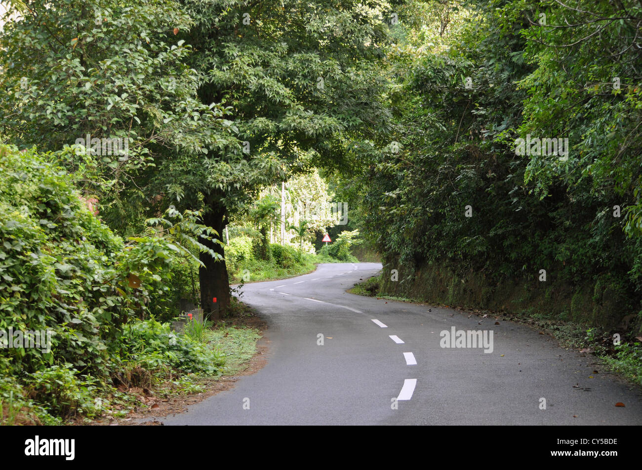 Road Up To Ponmudi Hills Stock Photo 51135210 Alamy