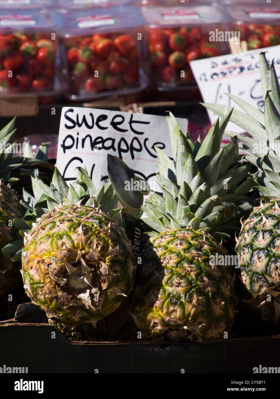 Sweet Pineapples on display for sale on fruit and vegetable market