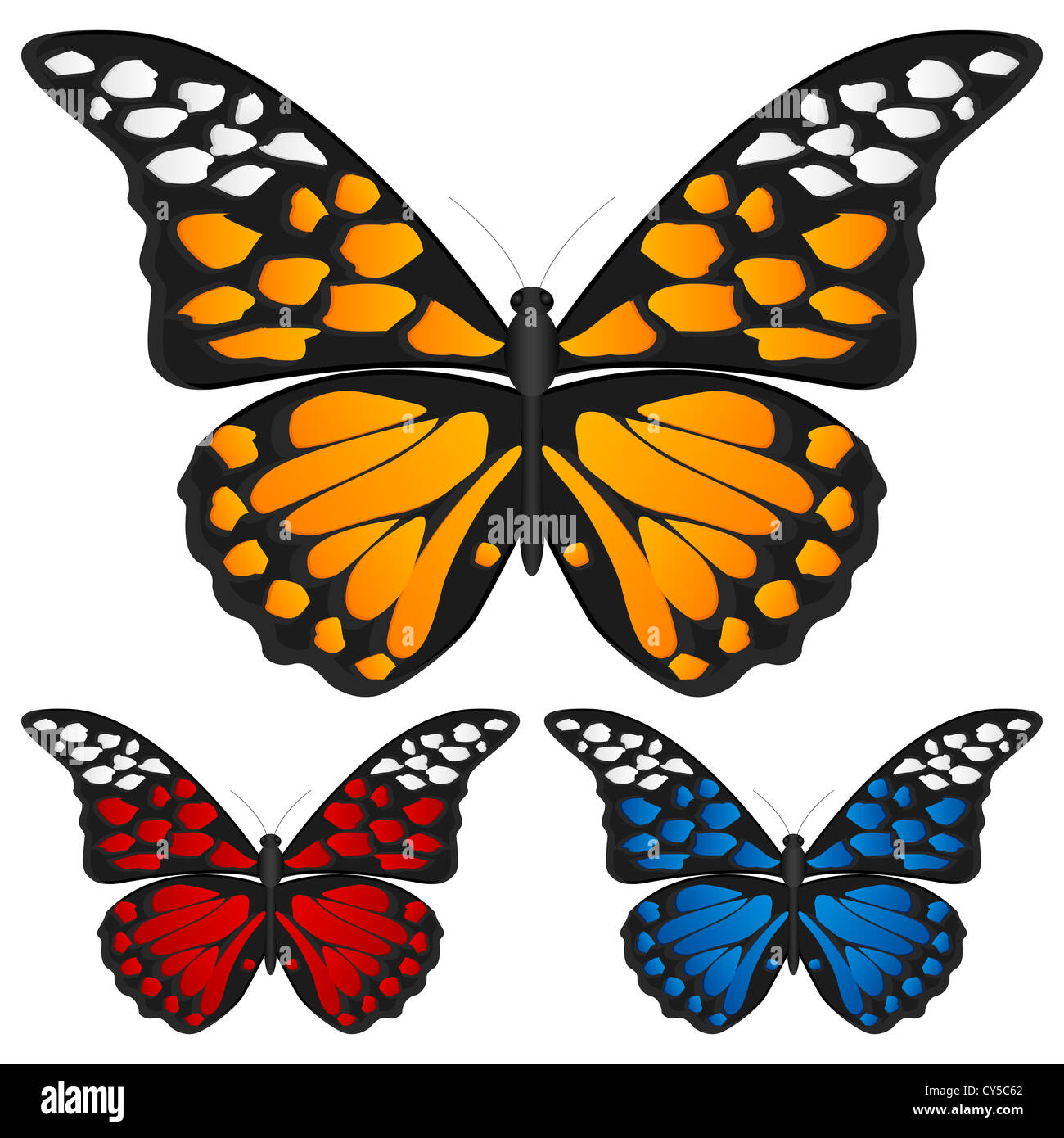 Butterfly set isolated on white background, Vector illustration Stock ...