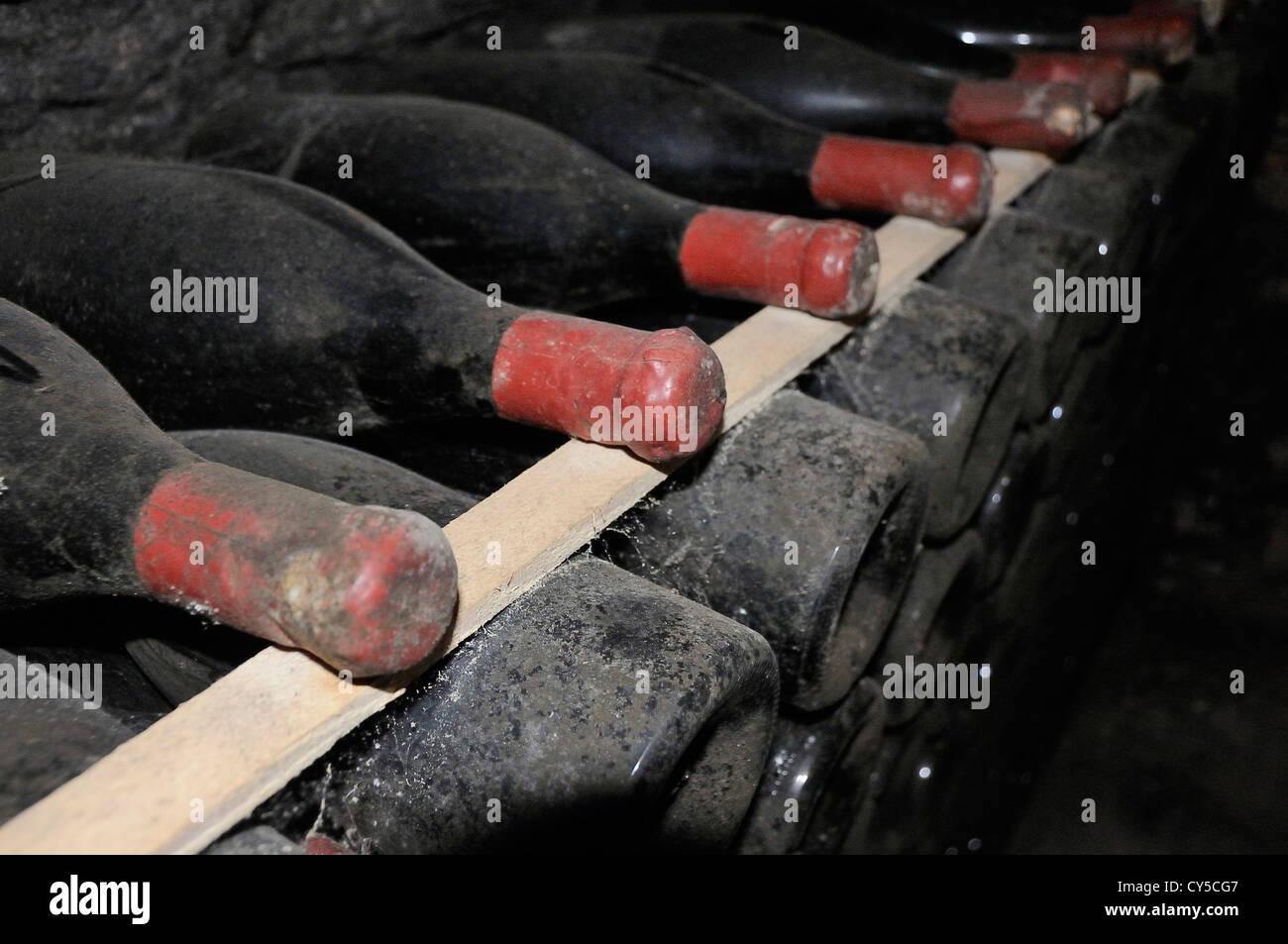 Old wine bottles ageing in a wine cellar, Burgundy, France, Europe Stock Photo