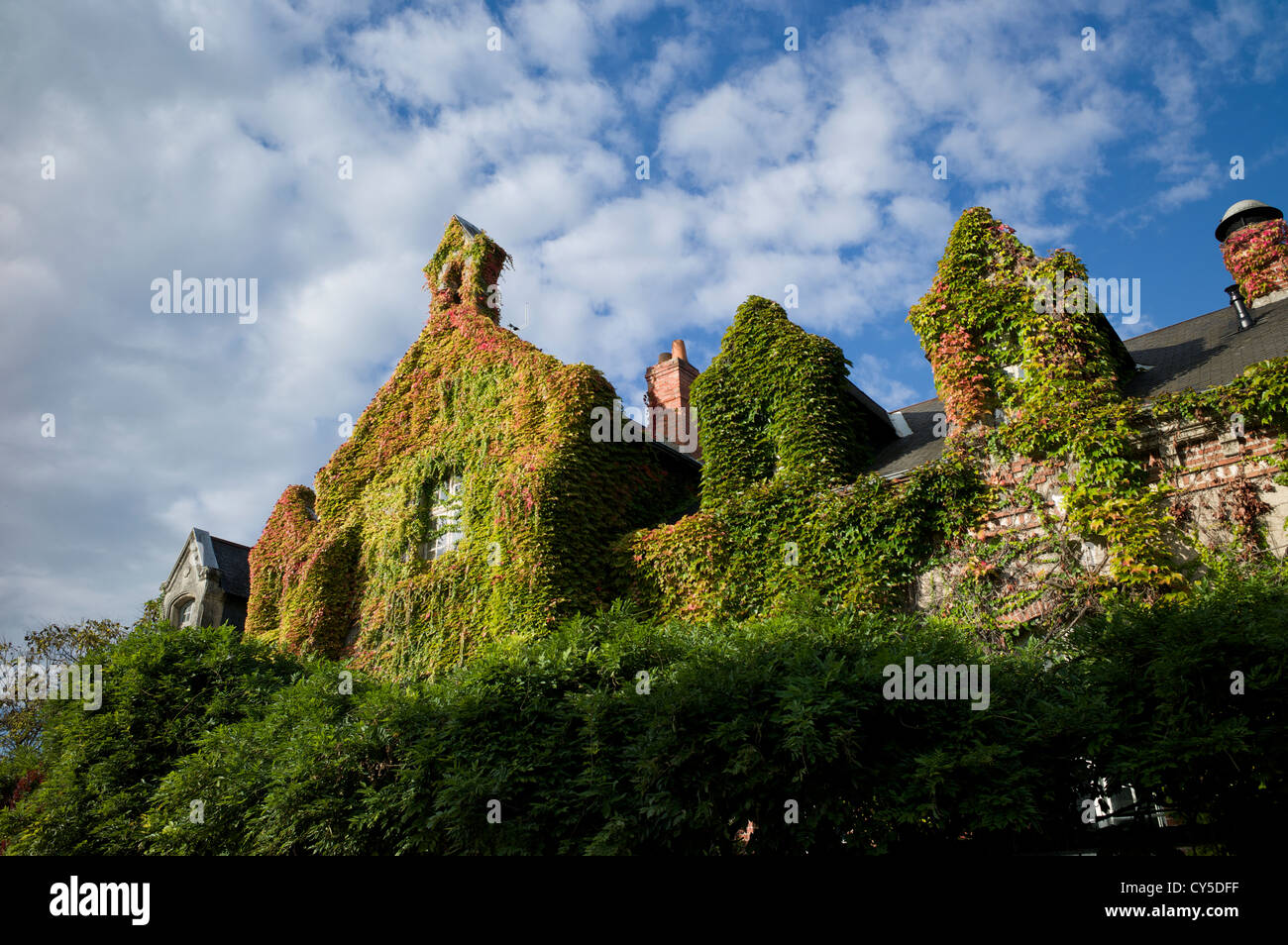 Ivy-covered house Azay le Rideau, Loire , France Stock Photo