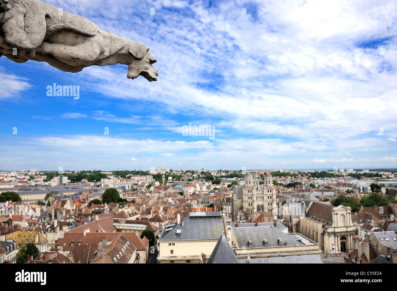 Gargoyle of Philip Le Bon Tower, Dijon, France, Europe Stock Photo