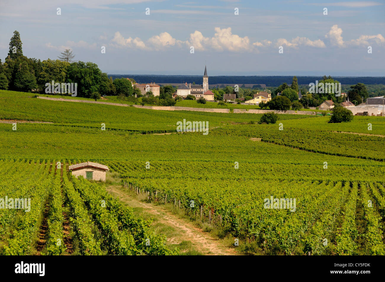 Village of Aloxe-Corton, Cote de Beaune, Cote d'Or. Burgundy. Bourgogne Franche Comte. France Stock Photo