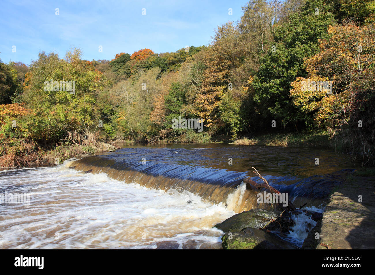 Autumn colours at the weir across the river Derwent at Dewenthaugh, Derwent Walk Country park, Gateshead north east England UK Stock Photo