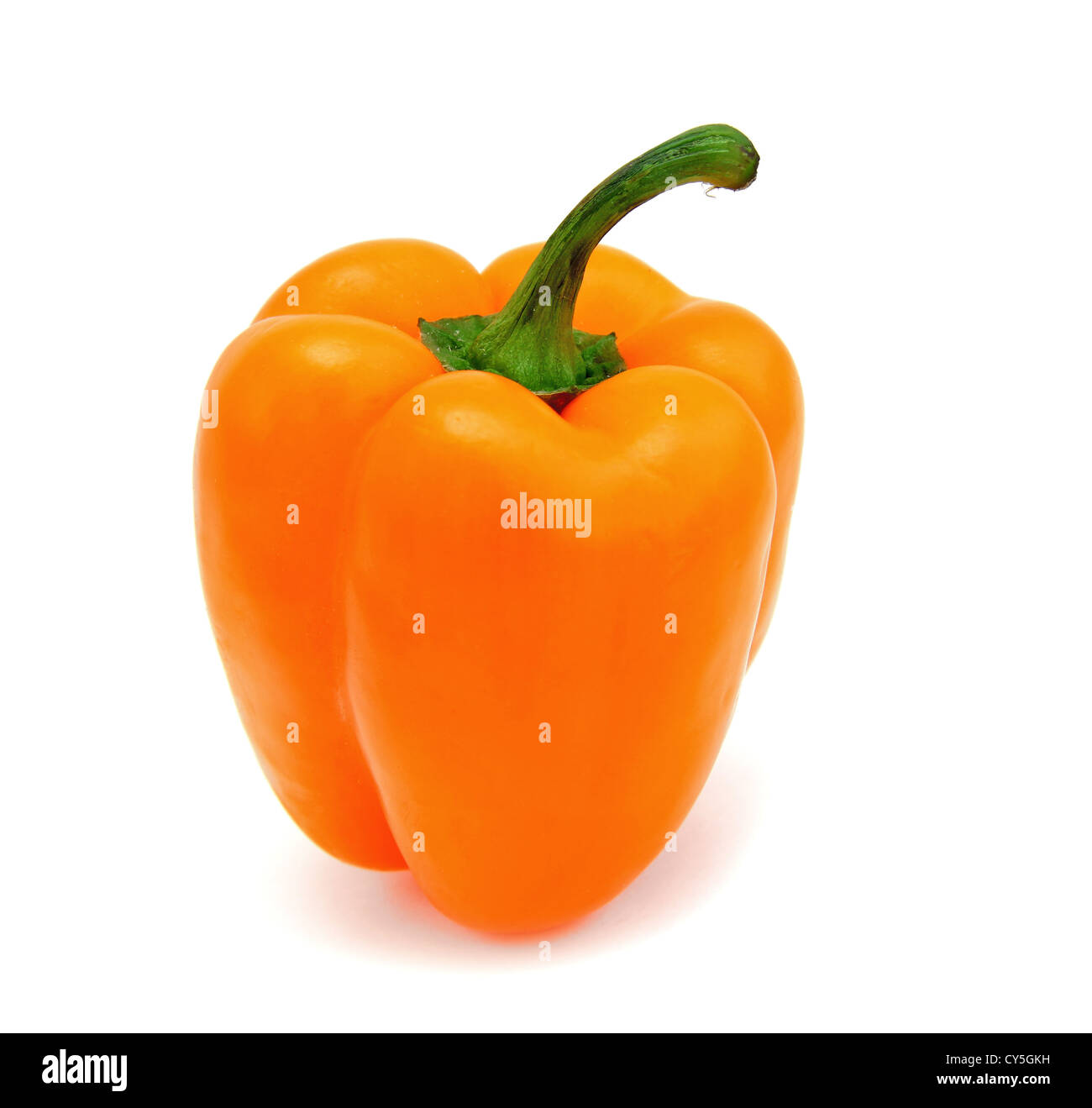 Sweet red pepper paprika harvest Cut Out Stock Images & Pictures - Alamy