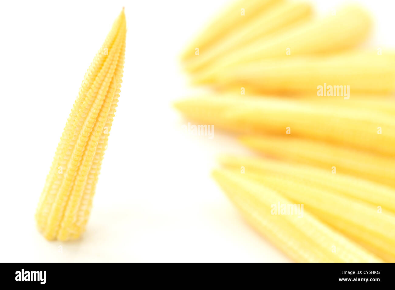 Baby corn on a white background, close-up Stock Photo - Alamy