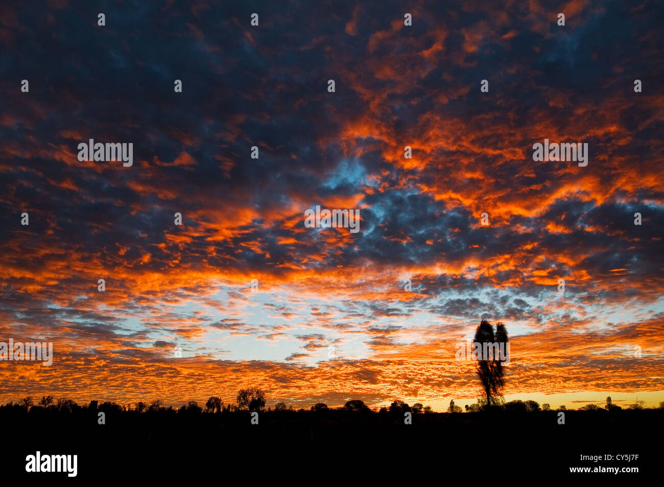 Sunset in the Red Heart of Australia. Stock Photo