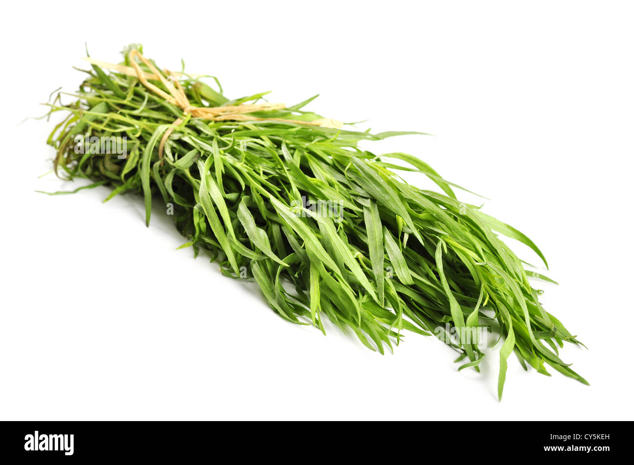 Fresh tarragon herb bunch isolated on white background Stock Photo - Alamy