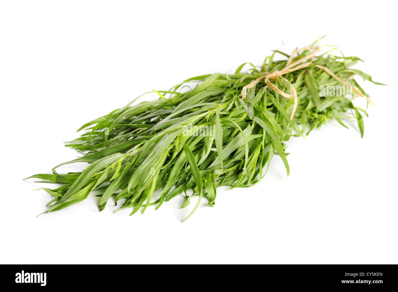Fresh tarragon herb bunch isolated on white background Stock Photo Alamy