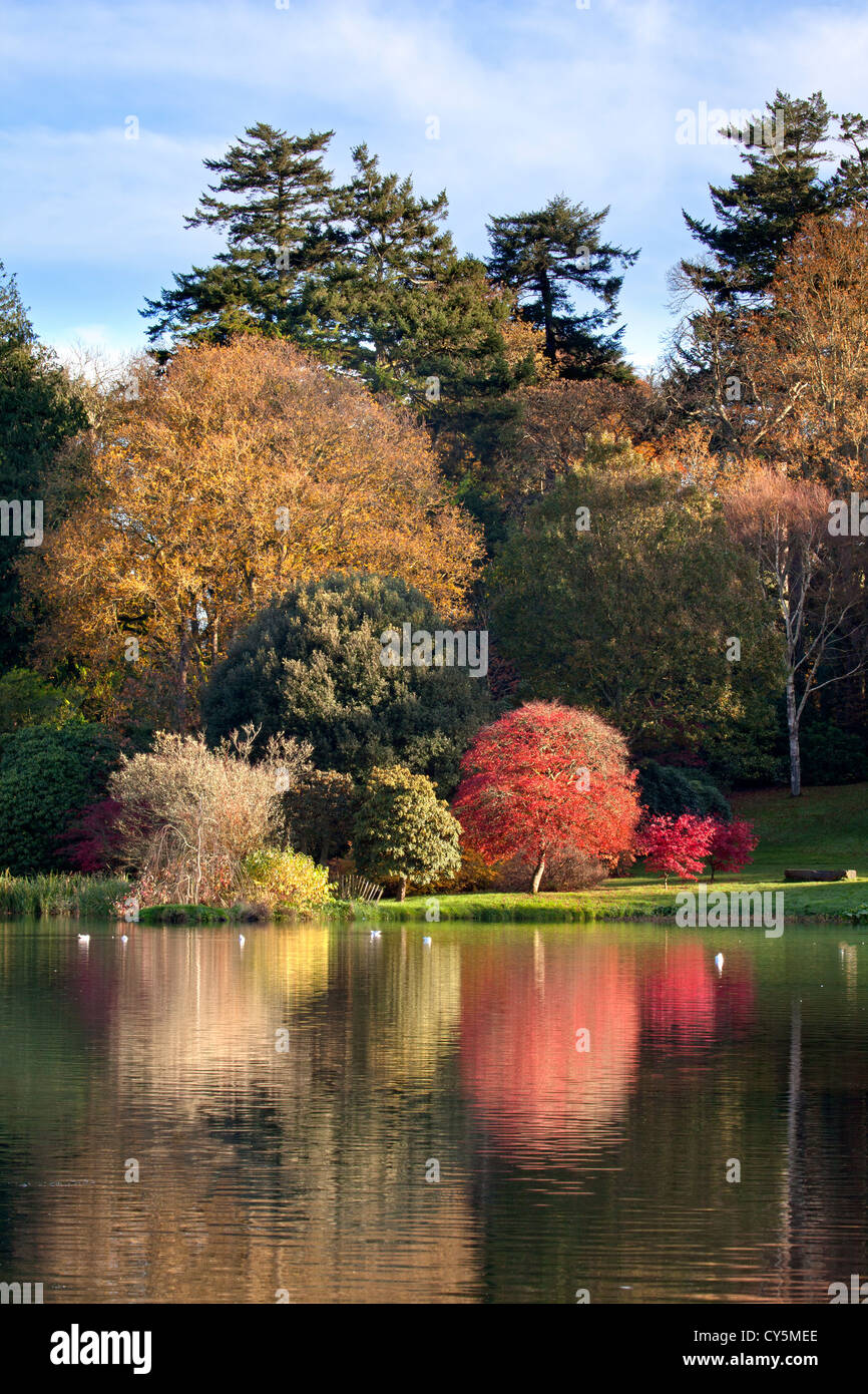 Autumn colours in the grounds of Mount Stewart, Northern Ireland. Stock Photo
