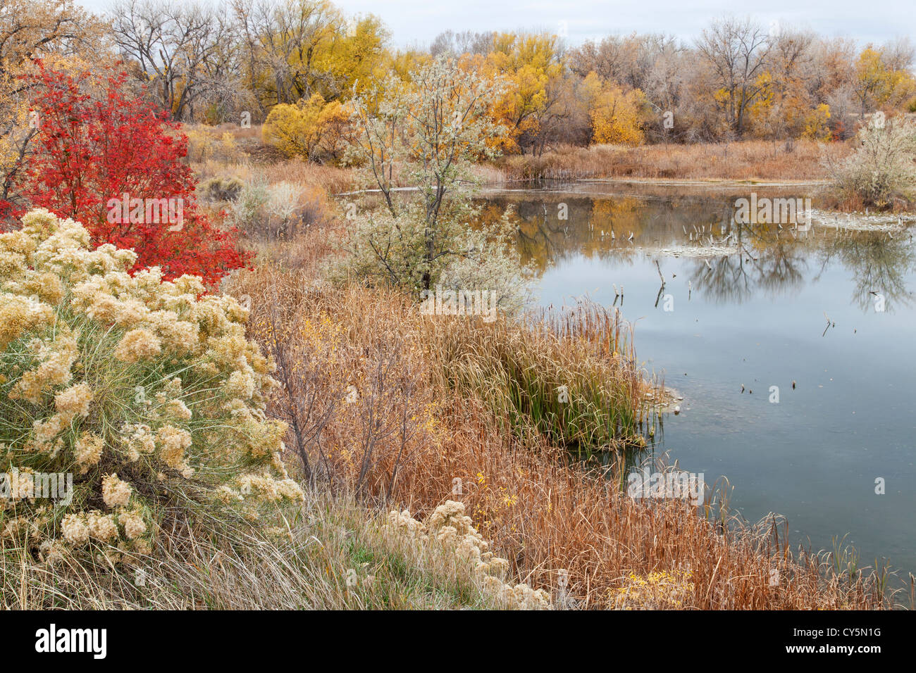 gravel pit converted into natural area Stock Photo