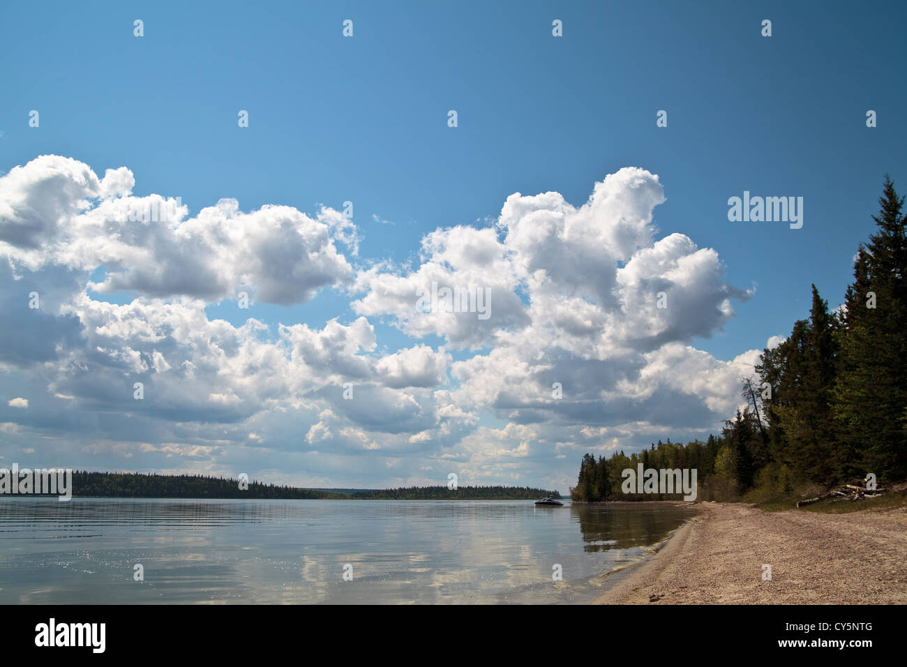 The beach at Murray Dole campground in Meadow Lake Provincial Park