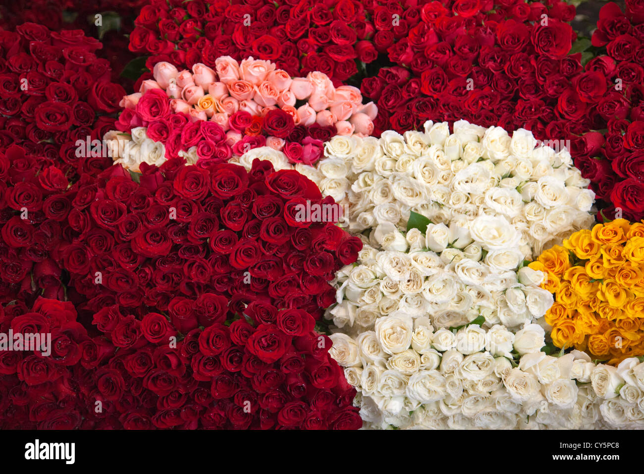 Roses at Jamaica Market in Colonia Jamaica in Venustiano Carranza